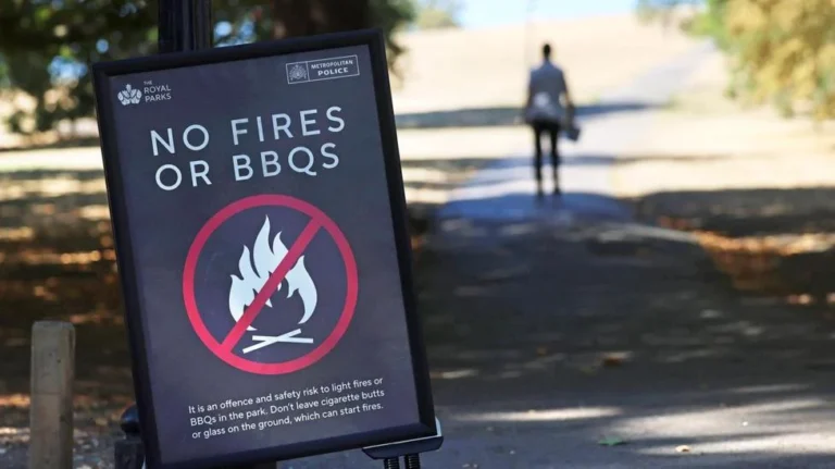 UK Imposes Temporary Ban on Disposable Barbecues Amid Severe Wildfire Risks