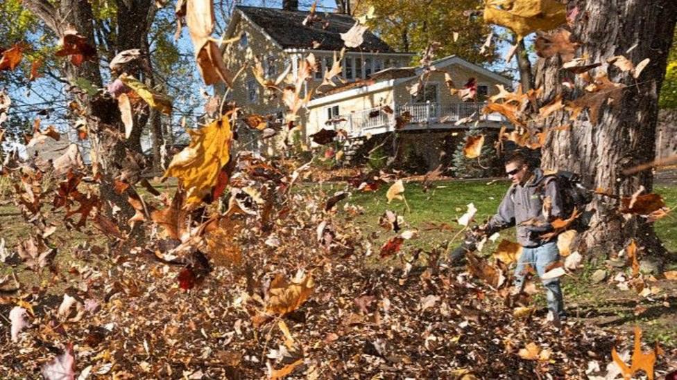 The Slow Transition: Why Electric Landscaping Tools Are Replacing Petrol Equipment