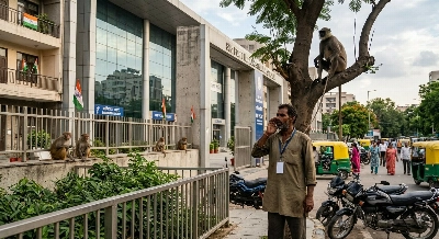What we know about No monkey business: India 'whisperers' guard world championships
