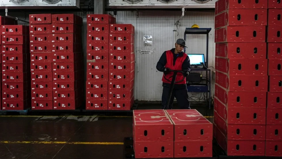 Understanding Tariffs: How Import Taxes Work and Their Impact on the Global Economy