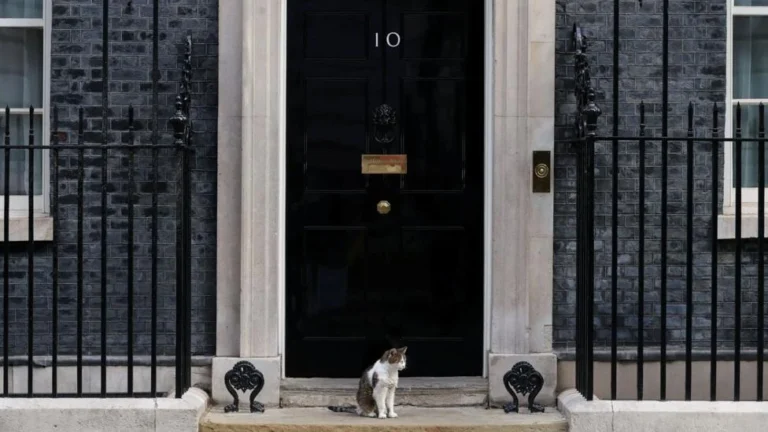 Consumer Group Exposes Security Gaps After Creating Fake 10 Downing Street Listing on Booking.com