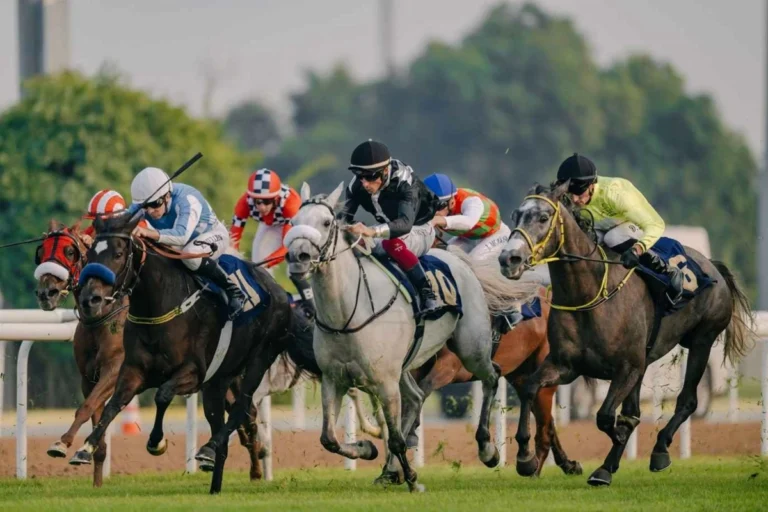 UAE Racing Season Returns Amidst Golden Jubilee Celebrations
